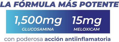 Presentaciones Condrox